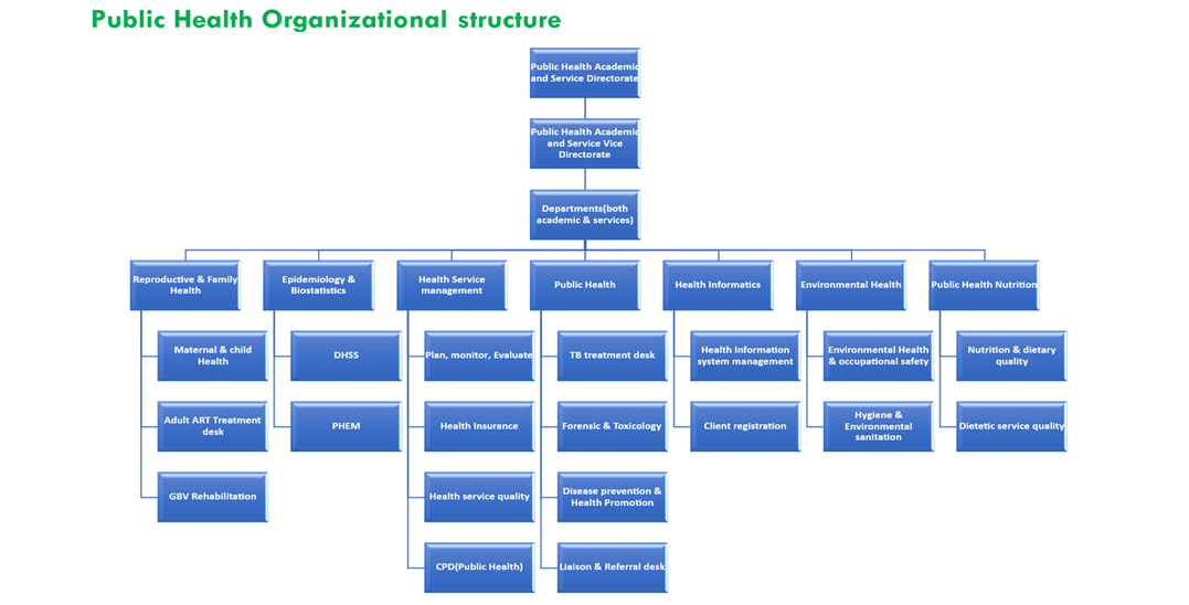 Public_Health_Organizational_Structur.png